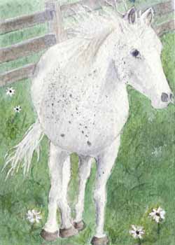 February Award - "White Stallion" by Jean Tupper, Madison WI - Watercolor